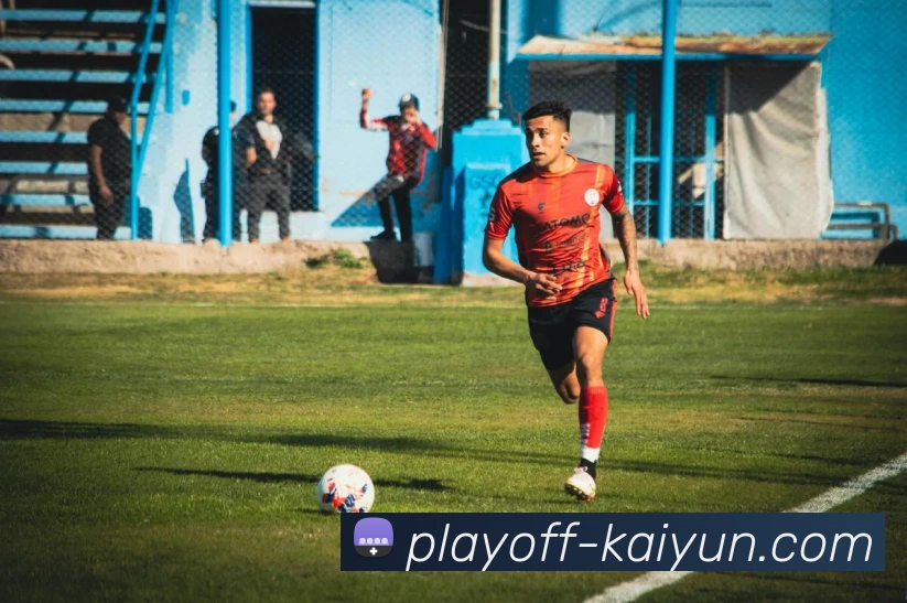 开云appAPP 封面图